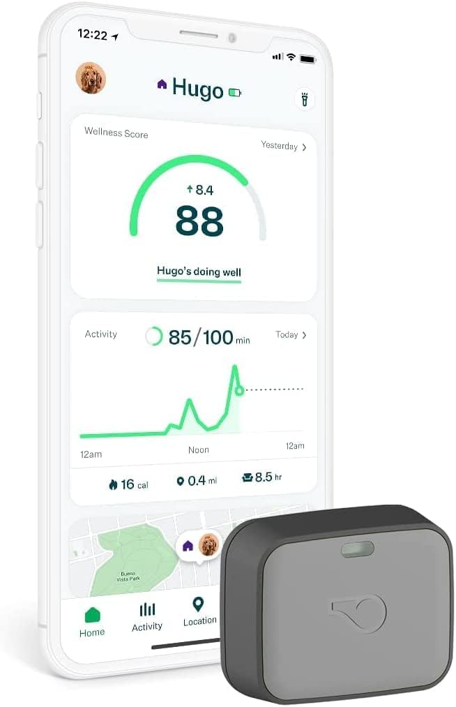 Whistle Go Explore 2.0